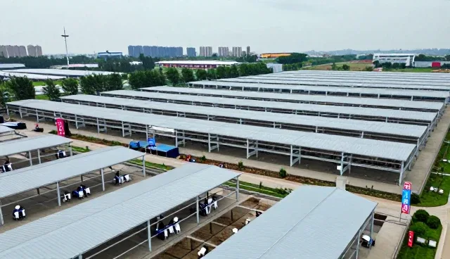 注重教学质量有哪些应用方式?